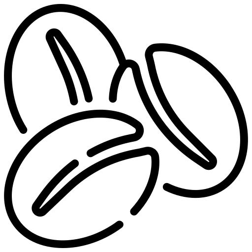 Çekirdek Çeşitleri